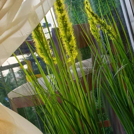 Apartman Vsg Apartments - Studio *